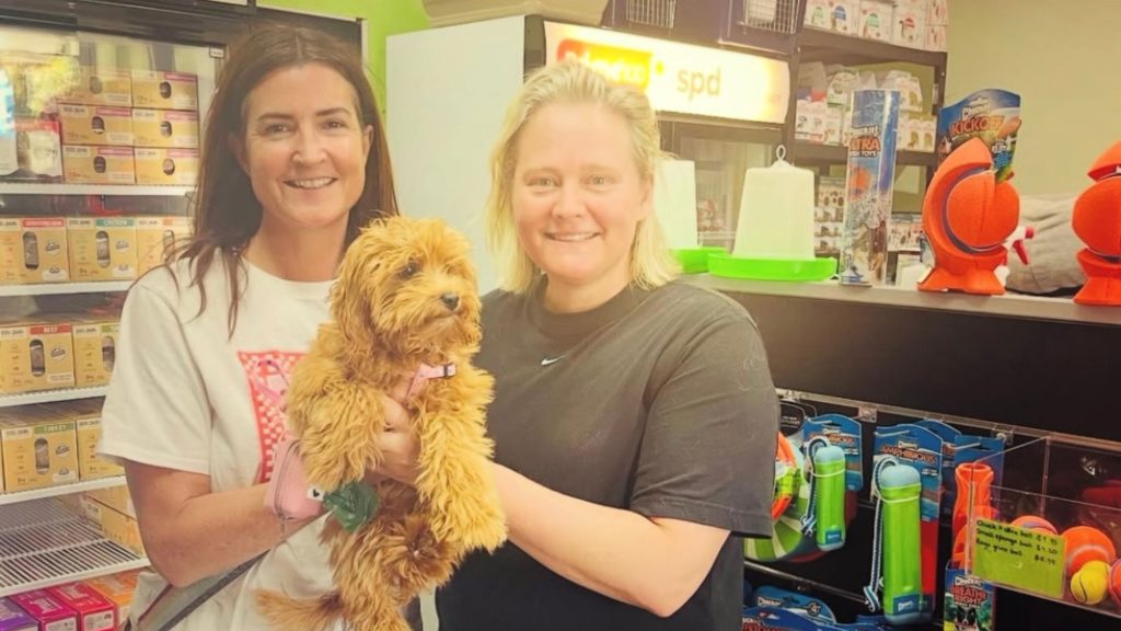 Businesses Of Bayside