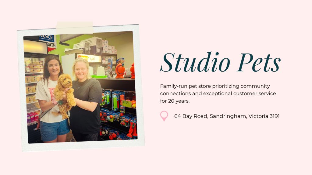 Businesses of Bayside: Studio Pets 1 Businesses Of Bayside