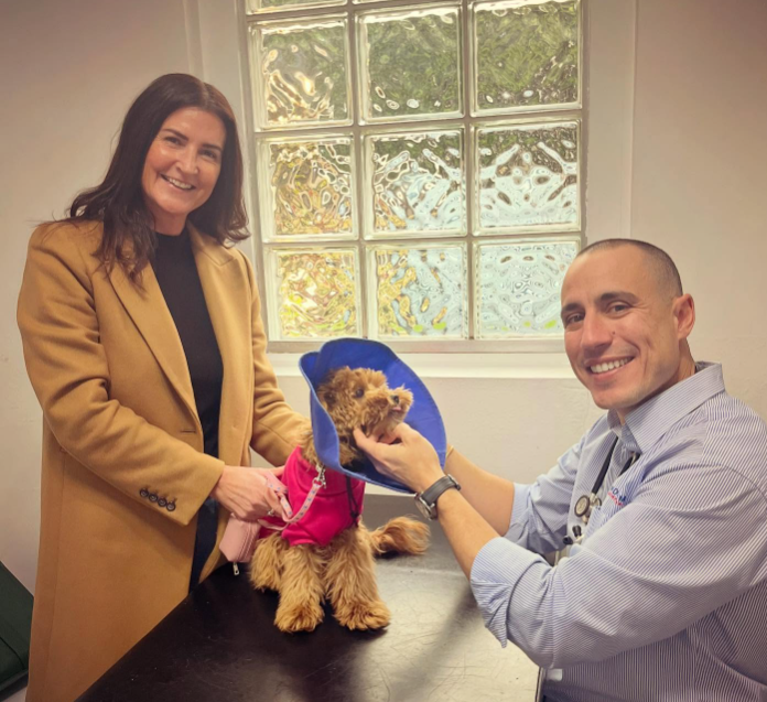 Businesses of Bayside